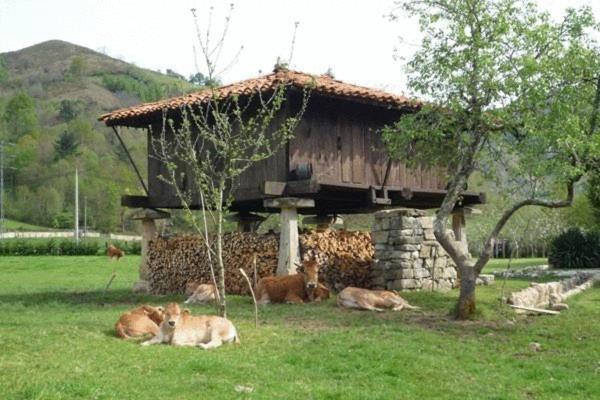 Hotel Rural Sucuevas (Adults Only) Llano-Con Exteriör bild